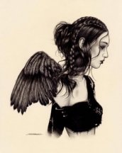 Black Wings Cold Embrace